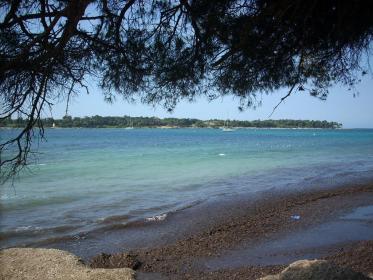 Une plage ombragée par les pins donne sur le bleu de la mer méditerranée